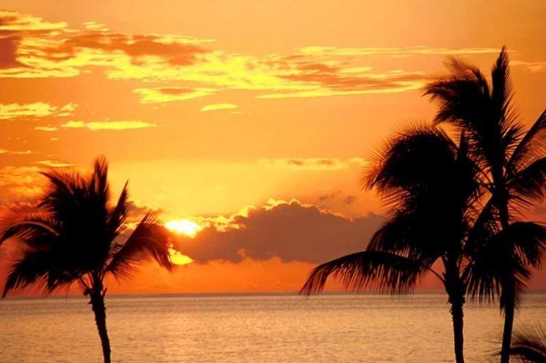 Ap Cote Com Vista Para Mar E Bicicletas Maceió エクステリア 写真